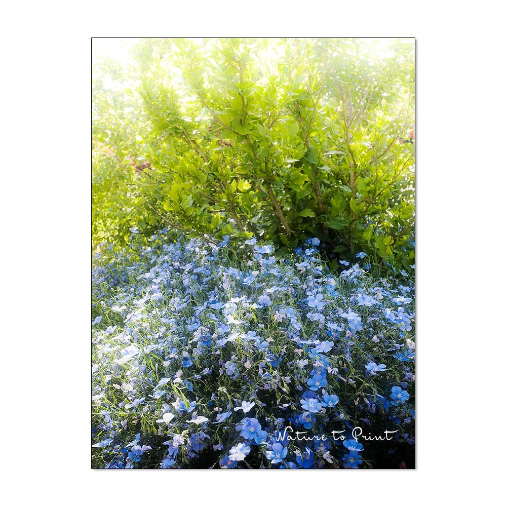 Blauer Weg ins Paradies Blumenbild auf Leinwand, Kunstdruck oder FineArt