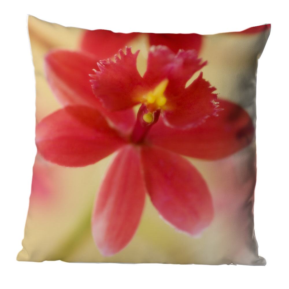Rote Orchidee |  Kissen, inkl. Reißverschluss und Inlett, waschbar bei 30C