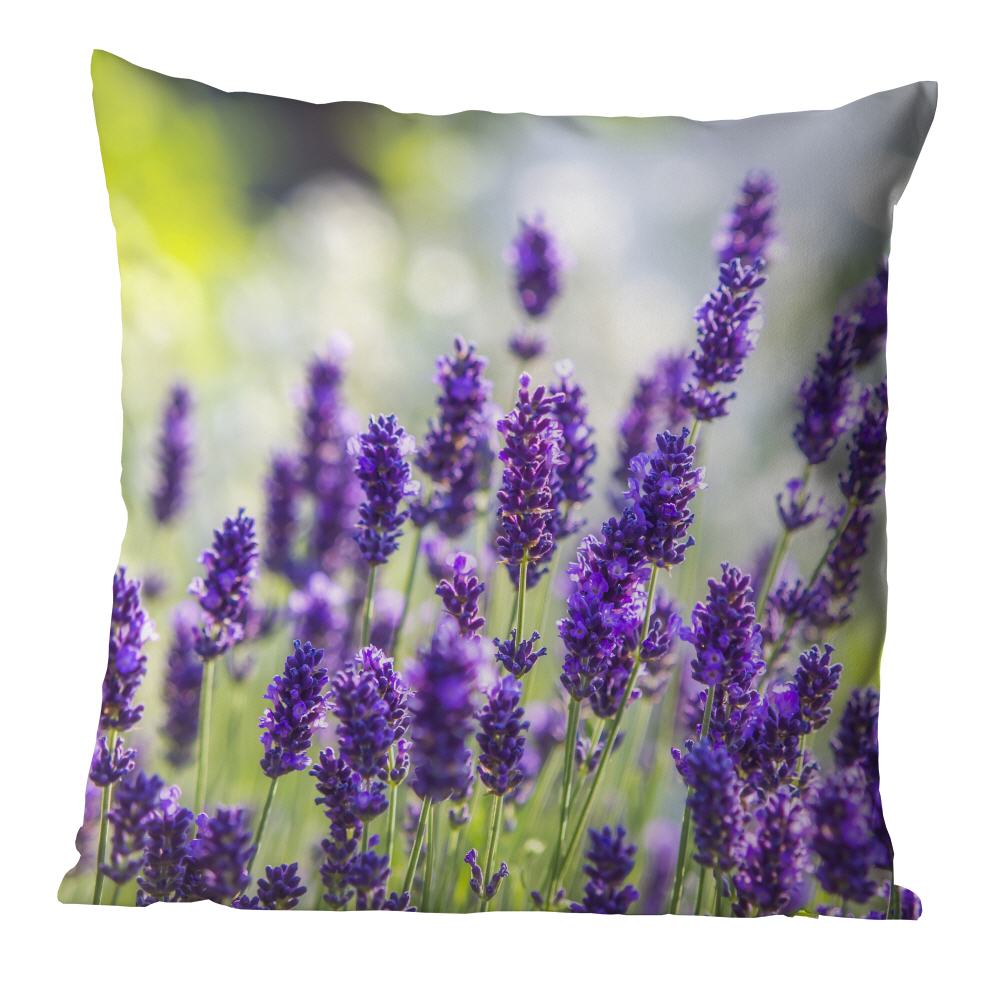 Lavendel im Morgenlicht  | Kissen, inkl. Reißverschluss und Inlett, waschbar bei 30C